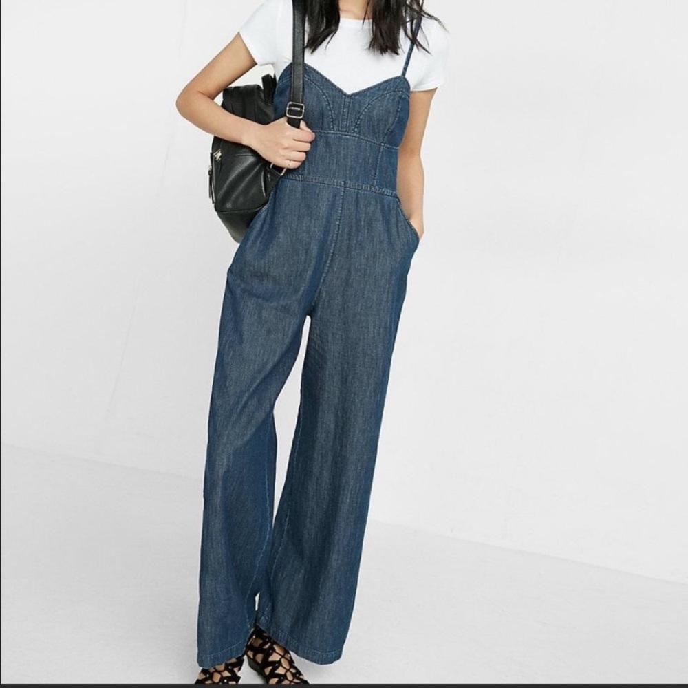 Express Denim Jumpsuit